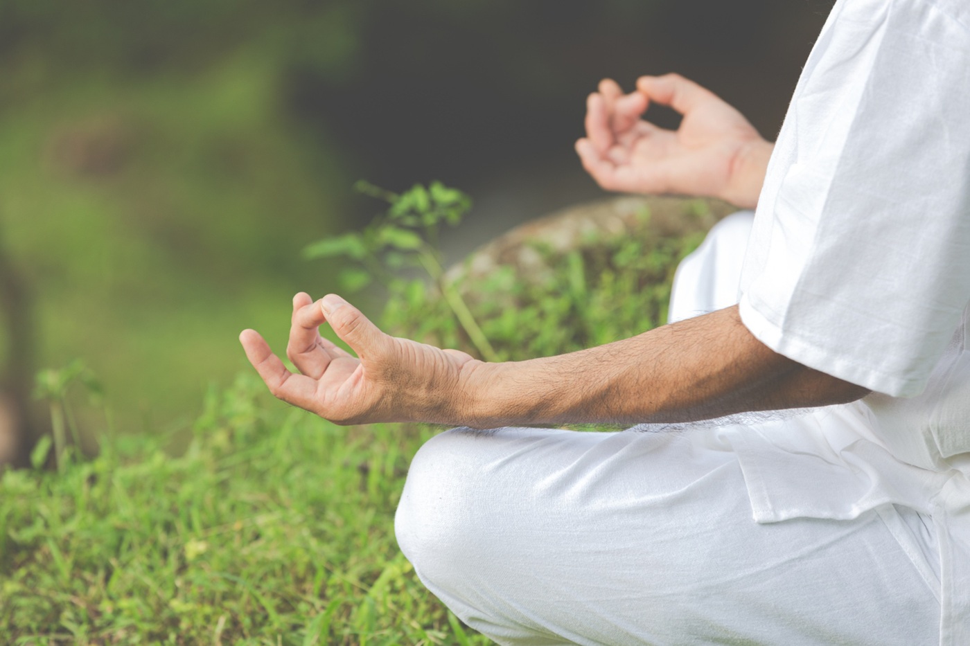 Emotional & Mental Wellness Support